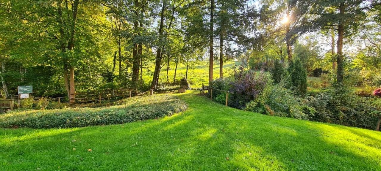 Ferienwohnung Am Waldsee Mit Schwimmbad Gernsbach Exteriér fotografie